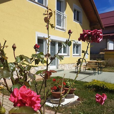 Apartment Julija 1 Fužine Zewnętrze zdjęcie