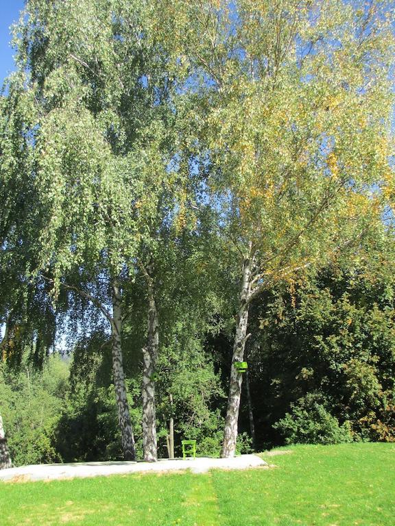 Apartment Julija 1 Fužine Zewnętrze zdjęcie